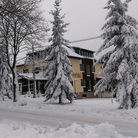 Penzion Svycarsky Dum Sneznik Bagian luar foto