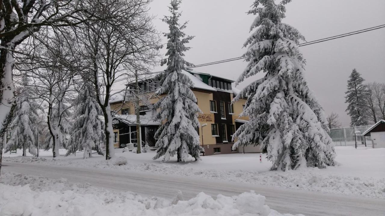 Penzion Svycarsky Dum Sneznik Bagian luar foto